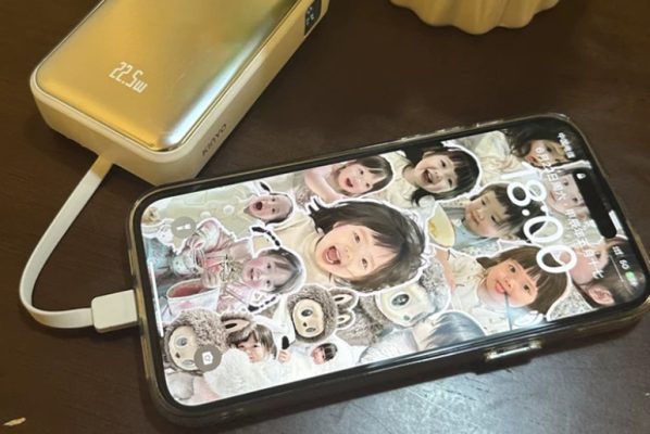 sac vua dung pin du phong1