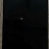 thay màn hình zin iphone 14 plus tại đại lâm mộc store